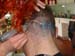DSC08147